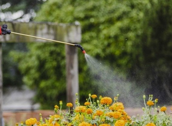 Fachbewilligung: Gute Neuigkeiten