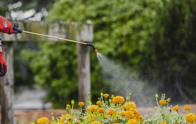 Permis phytosanitaires