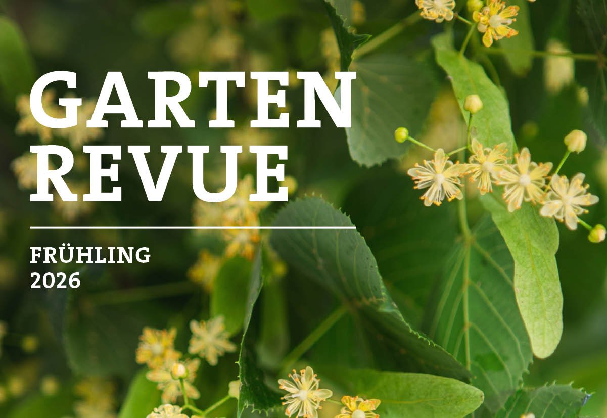 Gartenrevue_F26_Titel.jpg
