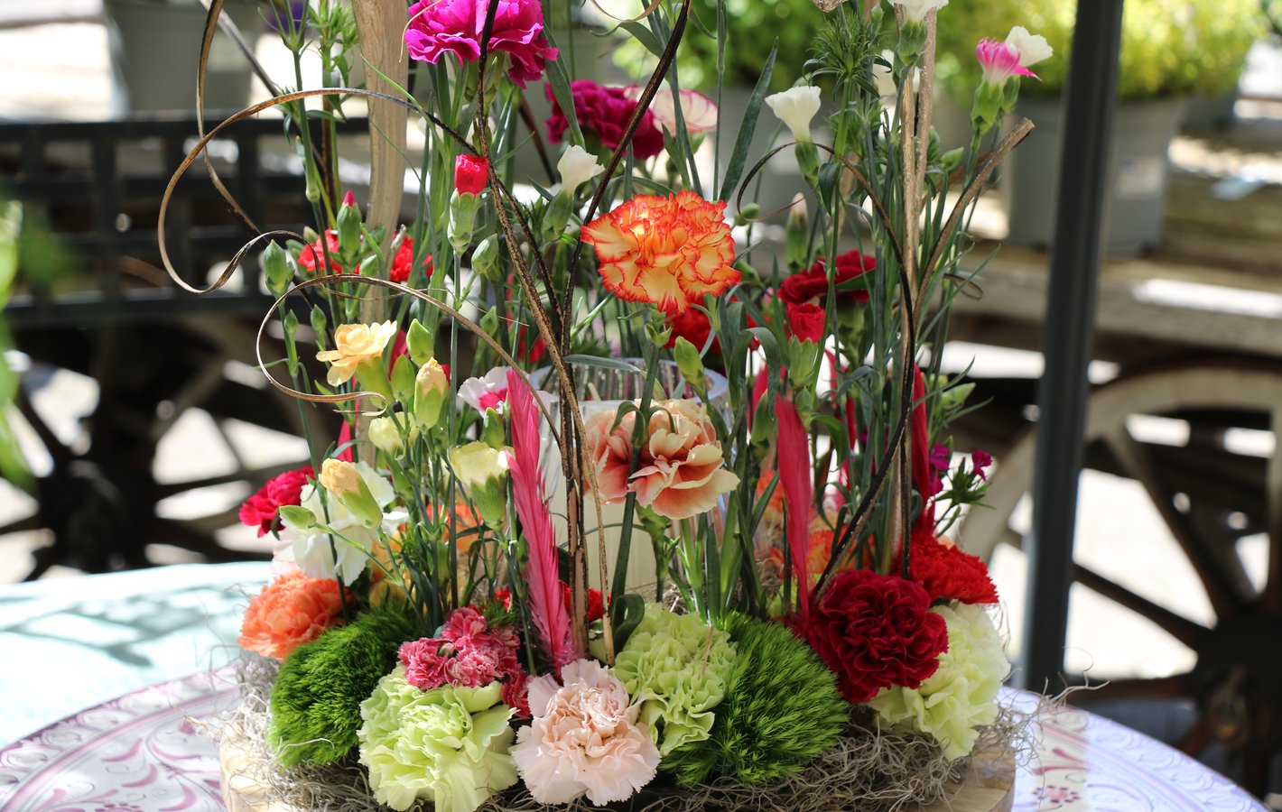 Pflanze des Jahres 2026