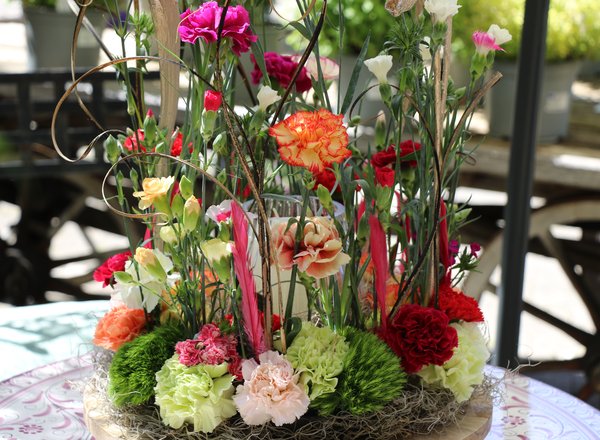 Pflanze des Jahres 2026