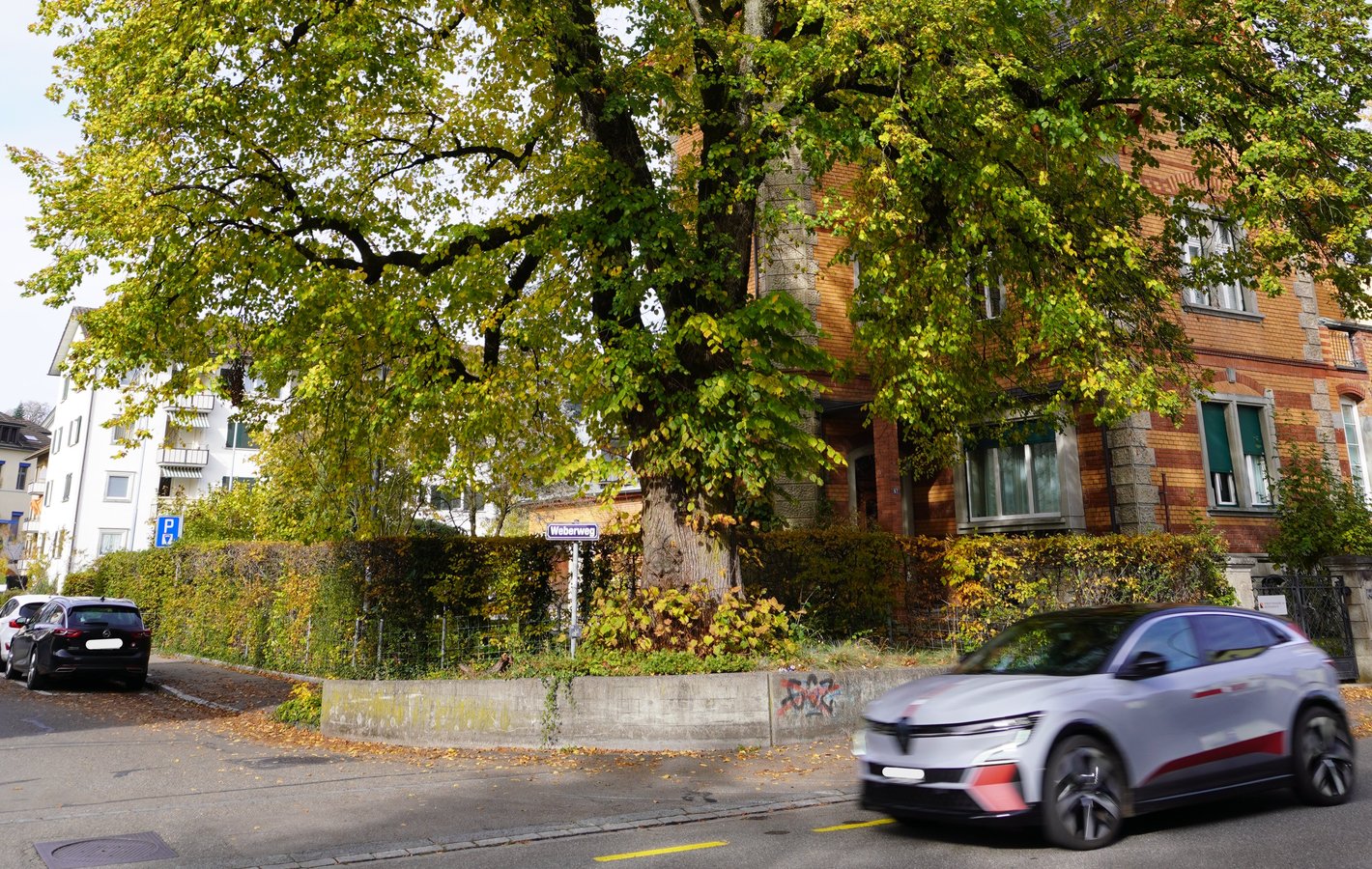 Schweizer Baumkontrollrichtlinie