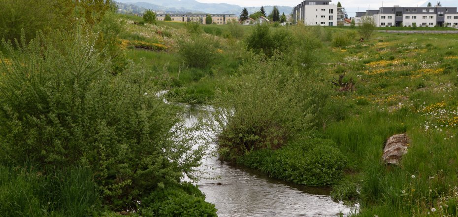 Umweltschutz_biodiversität_bild4_web